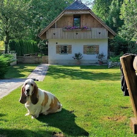 Vila Jana Radovljica Kültér fotó
