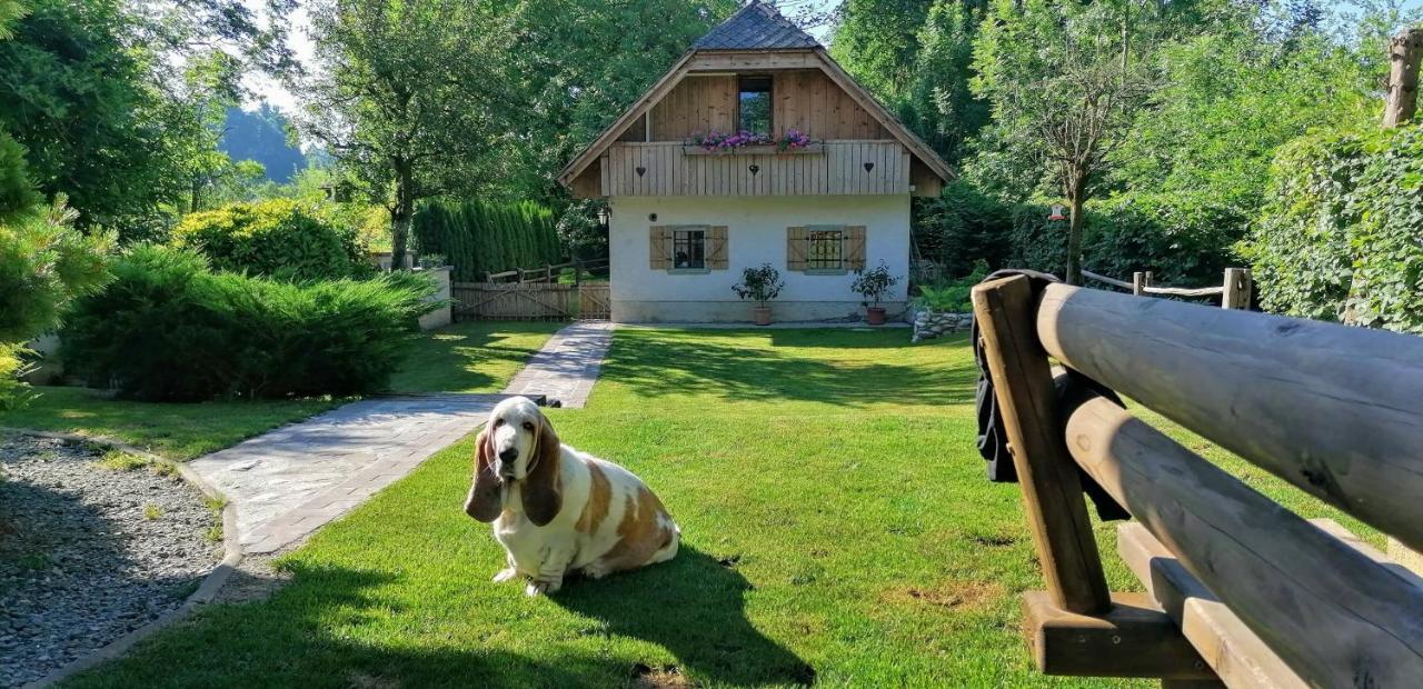 Vila Jana Radovljica Kültér fotó