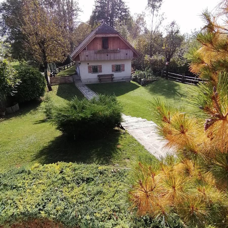 Vila Jana Radovljica Kültér fotó